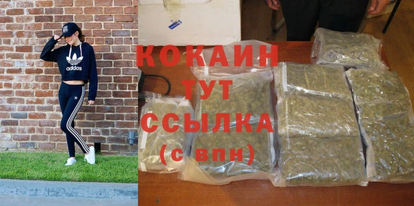 2c-b Богородицк