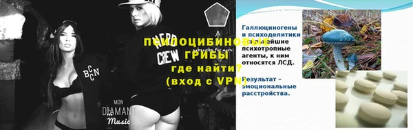 spice Бородино