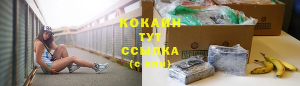 2c-b Богородицк