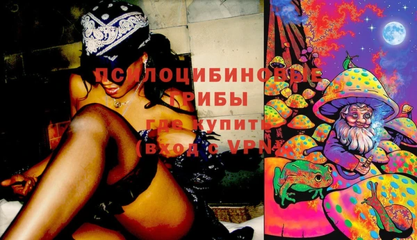 2c-b Богородицк